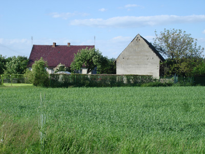 DSC01172.jpg