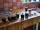 DSC01144.jpg