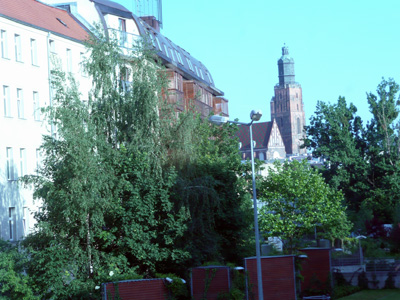 P1070859.jpg