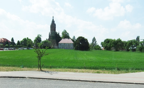 g-(30).jpg