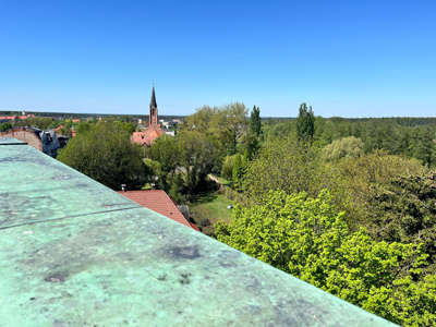 59.jpg